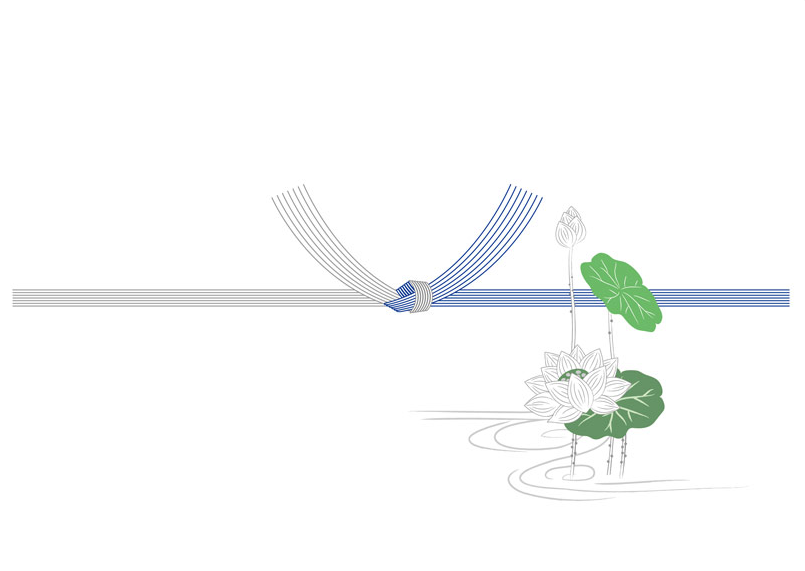 かけのし 慶事 花結び